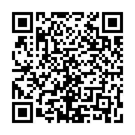 QR 1131b32