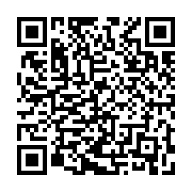 QR 113a288