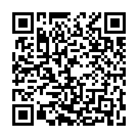 QR 113a3b8