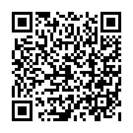 QR 113bde0