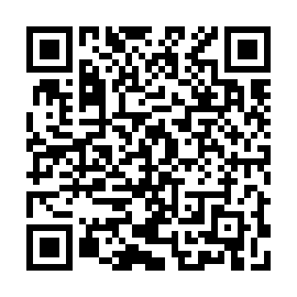 QR 113e5a8