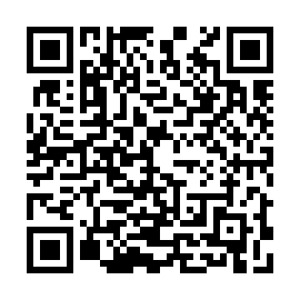 QR 11a04c8