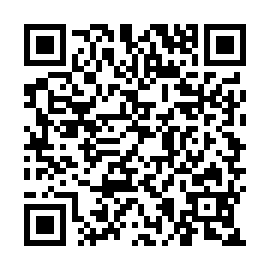 QR 11ae355