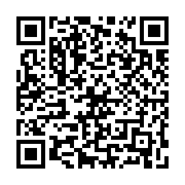 QR 11b3131