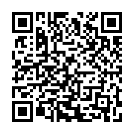 QR 11c0de8