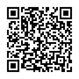 QR 120db81