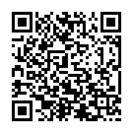 QR 131595b