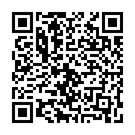 QR 1317f4a