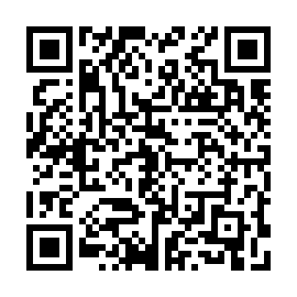 QR 132e460