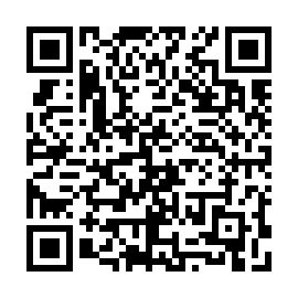 QR 132f65b