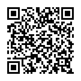 QR 13387a5