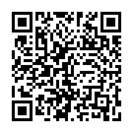 QR 1338b29