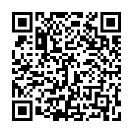 QR 133911b
