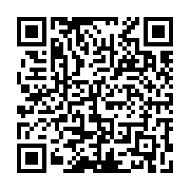 QR 133e0e6