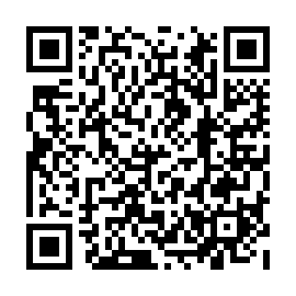 QR 13537ad