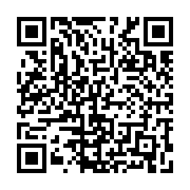 QR 135a386