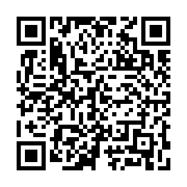 QR 1391e99