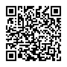 QR 13ab3f8