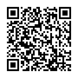 QR 13efa69