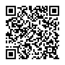 QR 141a335