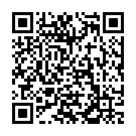 QR 155b521