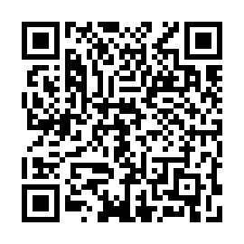 QR 161c500
