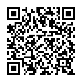 QR 166206b
