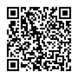 QR 167f533