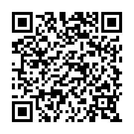 QR 170c335
