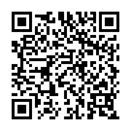 QR 175295a