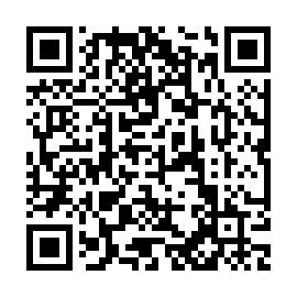 QR 17a2013
