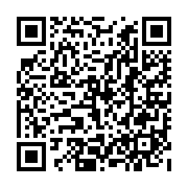 QR 17a5313