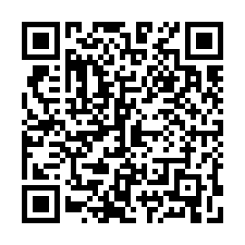 QR 17ba993