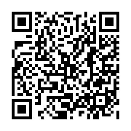 QR 17bb193