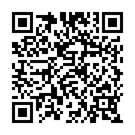 QR 17d035a