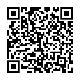 QR 17d493c