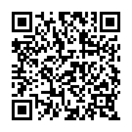 QR 17d53cb