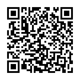 QR 17d78b8