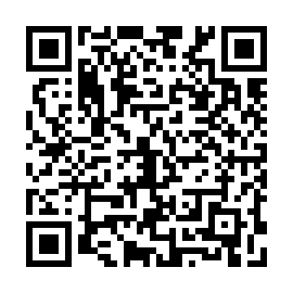 QR 17eaf11