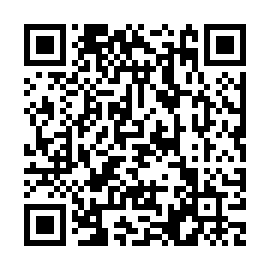 QR 17fff65