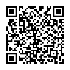 QR 185a463