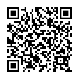 QR 193593b