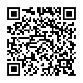 QR 193838a