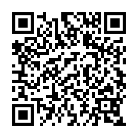 QR 193d29b