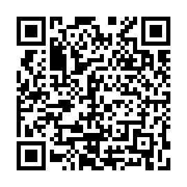 QR 193f393