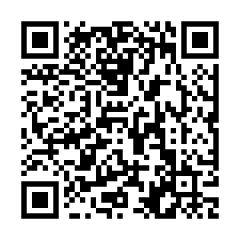 QR 198b667