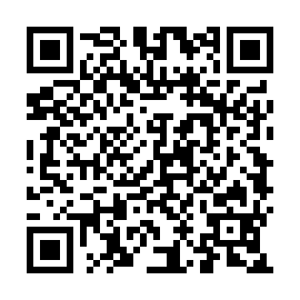 QR 199411d