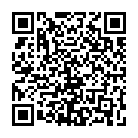 QR 199593b