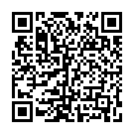 QR 1b25313