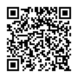 QR 1ea4131